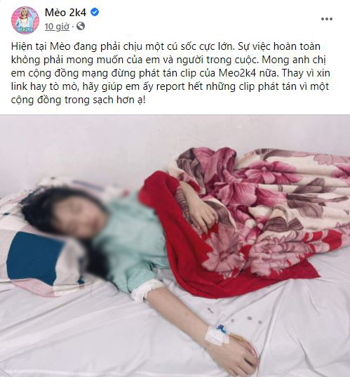 Clip Mèo 2k4 ăn kem với bé chanh full