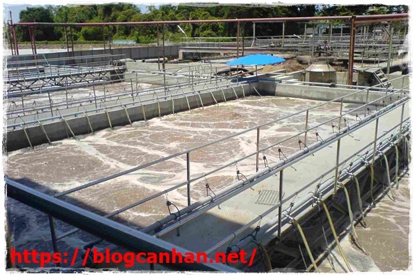 xử l&yacute; nước thải