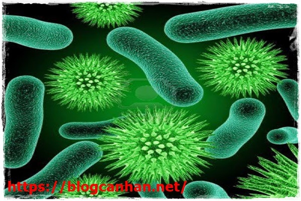 Xử l&yacute; nước thải bằng vi sinh