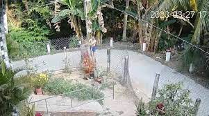 Vụ án Tiền Giang