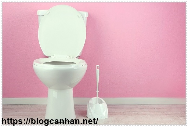 tại sao phải vệ sinh bồn cầu toilet thường xuyên