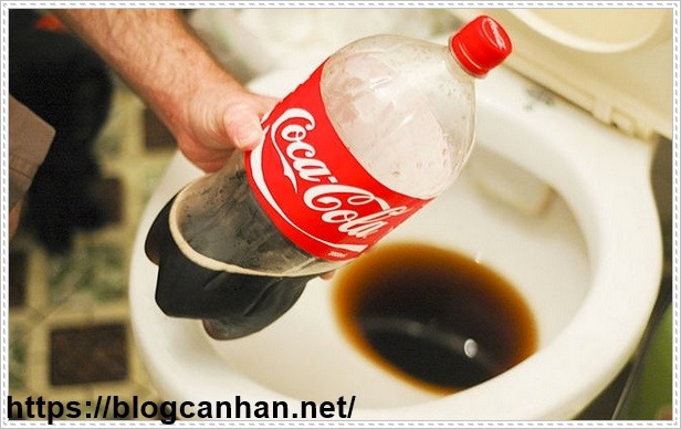 nguyên nhân tắc bồn cầu