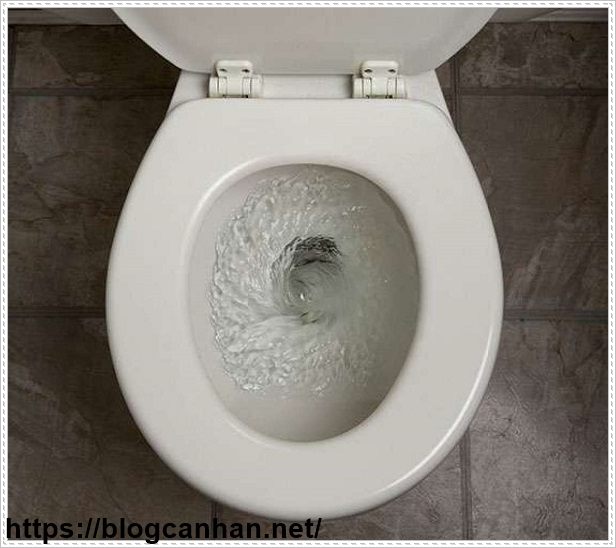 tắc bồn cầu
