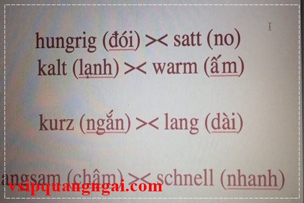 Học tiếng Đức với bạn b&egrave; của bạn