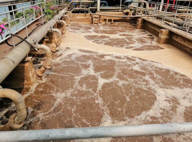 nu&ocirc;i cấy b&ugrave;n vi sinh