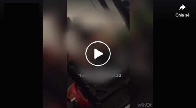 clip nhấp nhô ở phòng gym 7