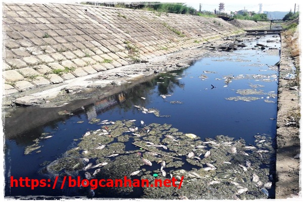 nước thải công nghiệp viet nam