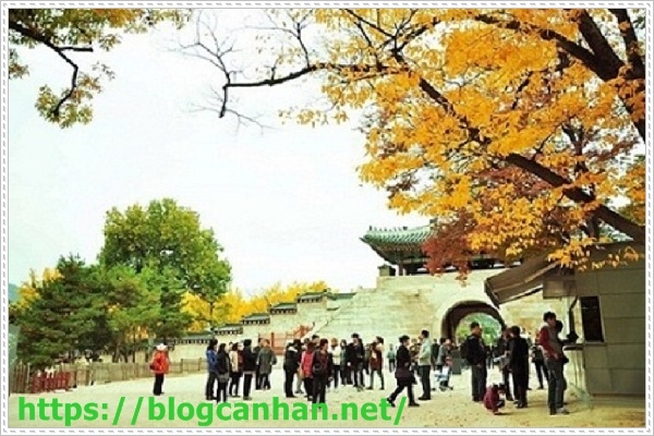 Du học H&agrave;n Quốc kh&ocirc;ng kh&oacute;