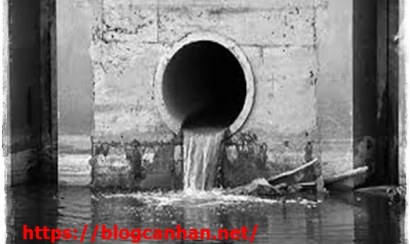 Cách xử lý nước thải sinh hoạt hiệu quả nhất